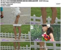 CZZ-035�������� ���������� ���� ���� �߸�Ь ȫ������д   GQSP-C084