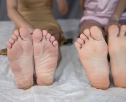 С����С�ݴ���һ������һ��չʾԭζ���ţ�˯�����⵽�������102P