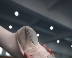 ��������������ͼ- (393) 158P