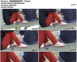 ������ģ�ļ���ϵ�С� (110)