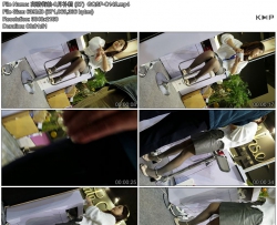 �������-8�²��� (27)  GQSP-C142
