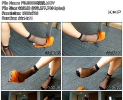 FILE0005����