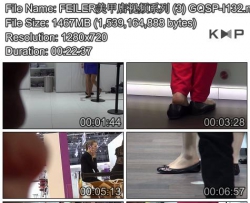 FEILER���׵���Ƶϵ�� (3) GQSP-I132