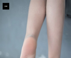 SIW˹�Ĵ�ý �ļ������ճ��Ʒ�ʱ�ж���ְҵװ - �λ� [62P]