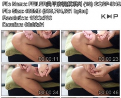 FEILER���׵���Ƶϵ�� (13) GQSP-I045