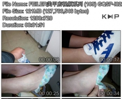 FEILER���׵���Ƶϵ�� (109) GQSP-I022
