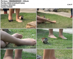������ģ�ļ���ϵ�С� (158)
