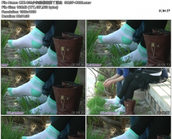 CZZ-039�ٸ��������Ѿ¶��  GQSP-C088