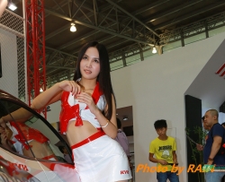 ���޵���������˿��ֽ[10P]